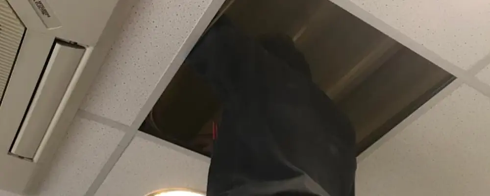 Wanzen aufspüren in Essen